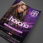 DJ Havana Brown at AJA Wiregrass Print Design by Ryan Orion Agency