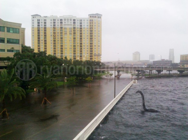 Shark & Loch Ness Monster on Bayshore Blvd. Tampa, FL - Credit: RyanOrionAgency.com